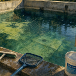 Piscine algue verte : brosse, floculant et eau trouble à purifier